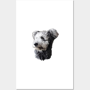 Pumi Dog Posters and Art